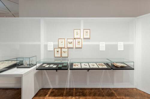 Deutsches Historisches Museum Berlin für Bok+ Gärtner, Ausstellungsfotografie, Interieurfotograf